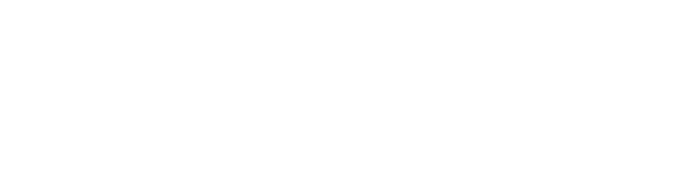 Newtron